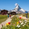 Que faire à Zermatt en été pour profiter du Cervin